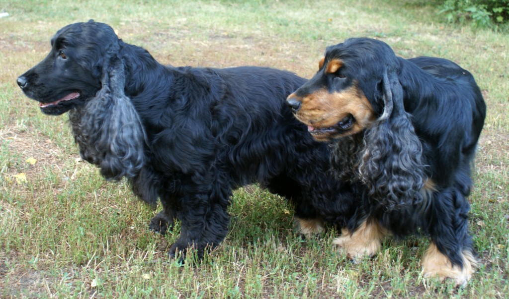 Shirley & Jambo 12.8.14 c