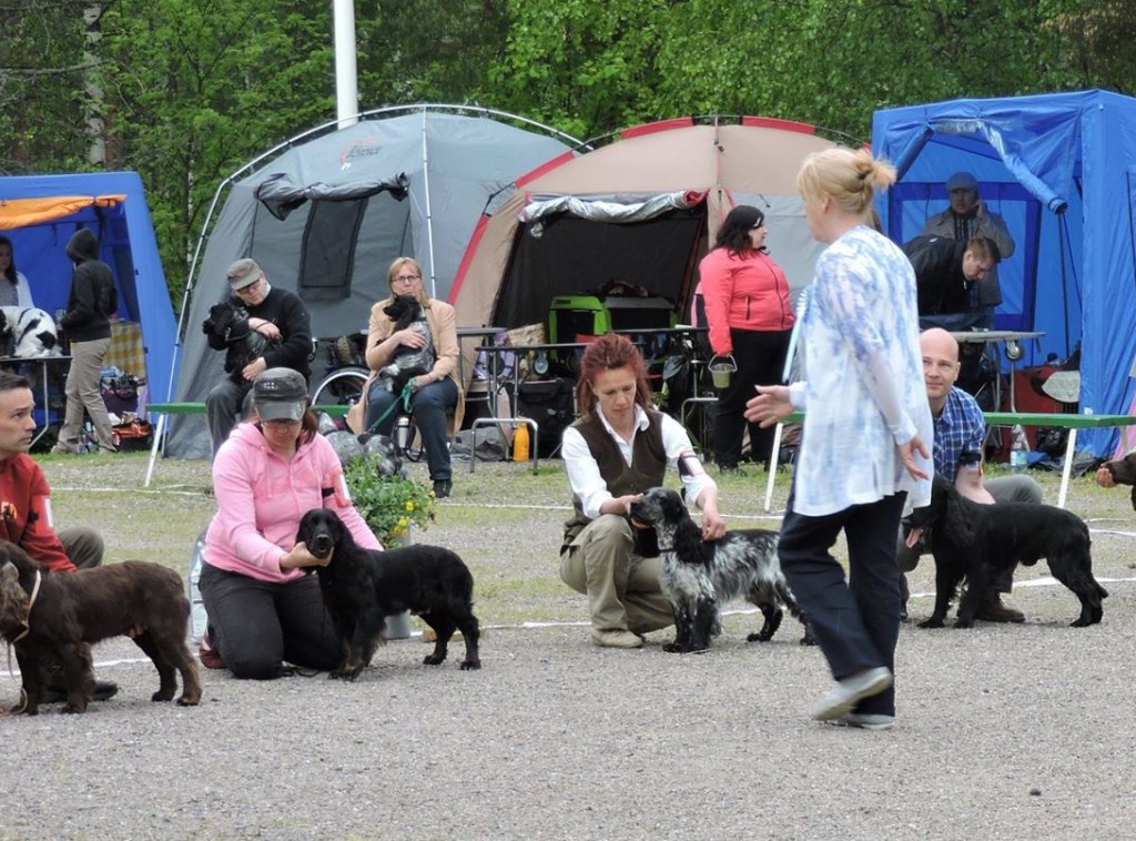 Masi 6.6.15 e2 Anne Knuutinen